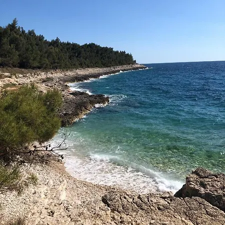 Orhideja With Private Backyard *