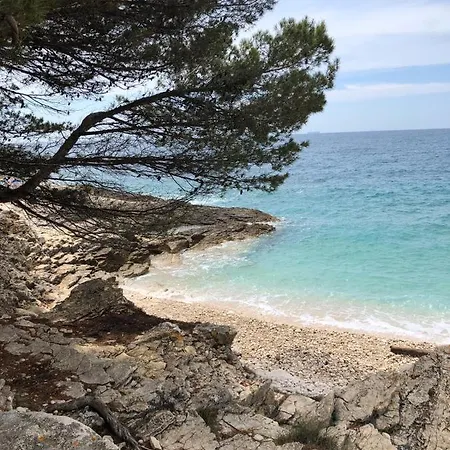 Orhideja With Private Backyard Apartment